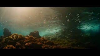 Official UK Trailer