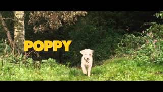 Official Theatrical trailer