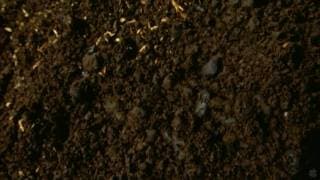 Beetle Queen Conquers Tokyo - Official Movie Trailer 2010 [HD]