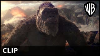 Attacked Clip