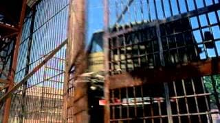 Target of Opportunity - Trailer