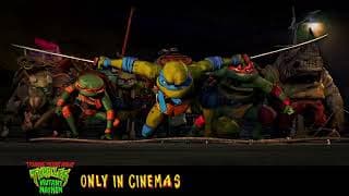 It's turtle-y awesome!