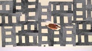 Your Friend The Rat - Trailer