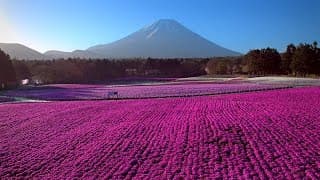 Japan from Above  - MIPDoc 2018 World Premiere Trailer