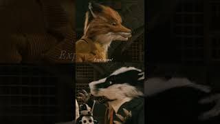 Foxes, assemble.