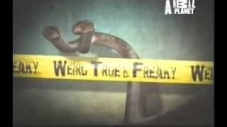 Weird, True & Freaky - Animal Planet