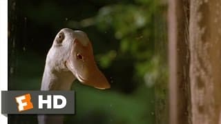 Ferdinand's Secret Mission