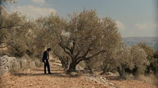 The Trees – trailer | IFFR 2021