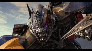 International Trailer