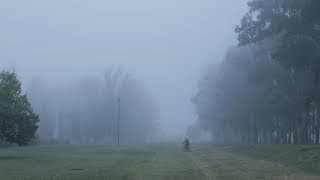TRAILER TRAS UN MANTO DE NEBLINAS