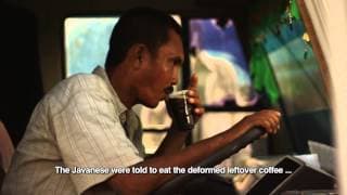 Official Trailer Biji Kopi Indonesia {Aroma of Heaven} 2014