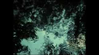 Beloved Theatrical Trailer (1998)