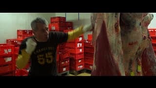 Auer - Offizieller Teaser