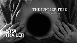 THE JUNIPER TREE Trailer [1990]