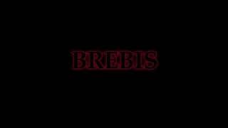 BREBIS TEASER (2024)
