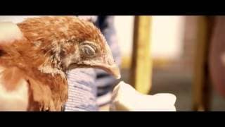 Boogaloo & Graham film Trailer: Curacao IFFR 2016