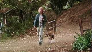 Shiloh (1996) Movie Trailer (Beagle dog)