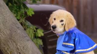 Super Buddies - Trailer