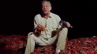 One Hundred Million Crabs | The Trials of Life | BBC Earth