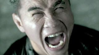 THE GRANDMASTER | Trailer 3