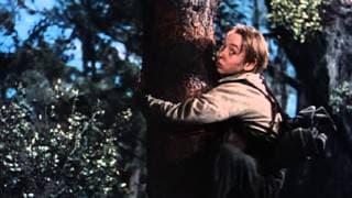The Yearling - Trailer