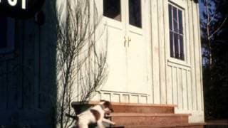 Charlie The Lonesome Cougar