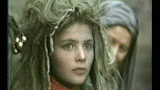 THE WILD SWANS / METSLUIGED 1987 / videoversioon © Myth Film