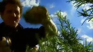fork to fork herbs