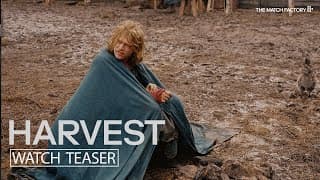Teaser