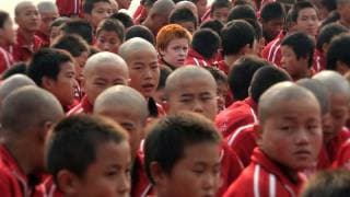 THE SHAOLIN KID - Official Trailer by Empty Mind Films
