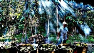 Metamorphosis- Ayahuasca Documentary