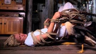 Head Above Water (1996)