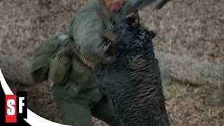 Hunting Dogs Attack