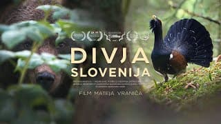 Divja Slovenija | v kinu