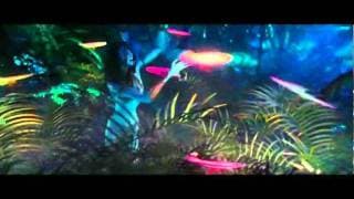 Special Edition Official Trailer