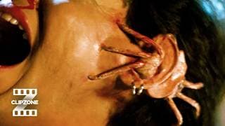 Ear Check and Cut
