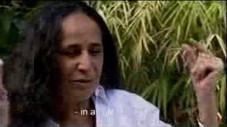 Trailer of MARIA BETHANIA MÙSICA é PERFUME