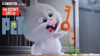 Kevin Hart Is Snowball