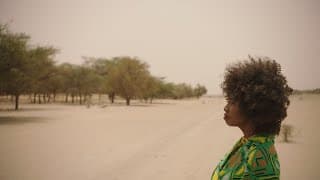 THE GREAT GREEN WALL TRAILER