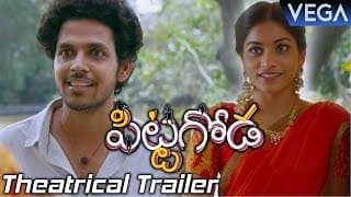 Pittagoda Theatrical Trailer || Latest Telugu Movie Trailers 2016