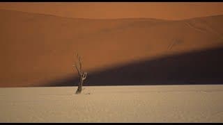 IDFA 2017 | Trailer | In Praise of Nothing