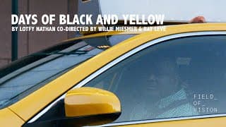 Field of Vision - Days of Black and Yellow