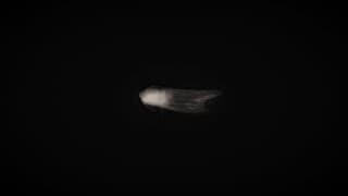 The Metamorphosis - Trailer