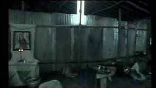 Darshan-The Embrace