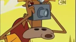 Camp Lazlo Shorts Empty Nest  ilkk78