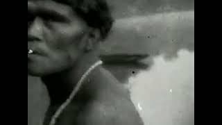 Trailer Os Mortos Resistirão Para Sempre H 264