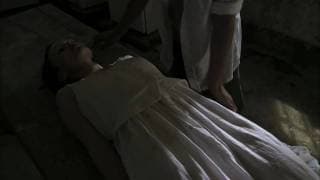 IVUL - Trailer