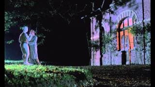Chicken With Vinegar - Trailer