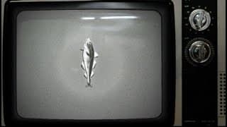 umrui & dj bullins - Sounds of Codfish