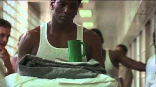 The System Within - Trailer